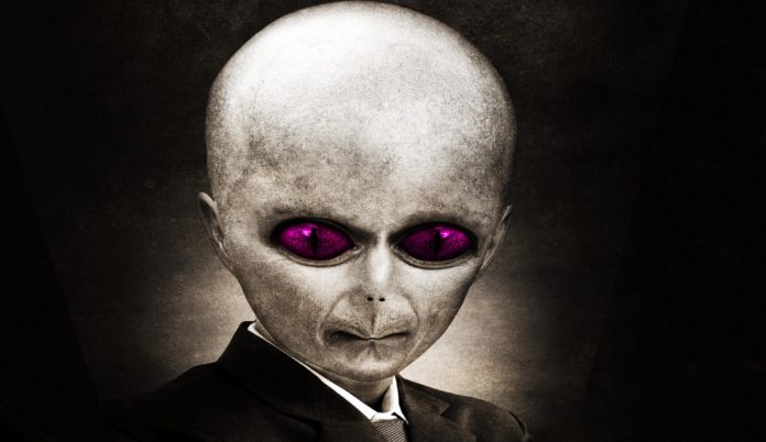 Black Alien Pigs: 3 Things You Didn’t Know Black Alien Pigs: 3 Things You Didn’t Know