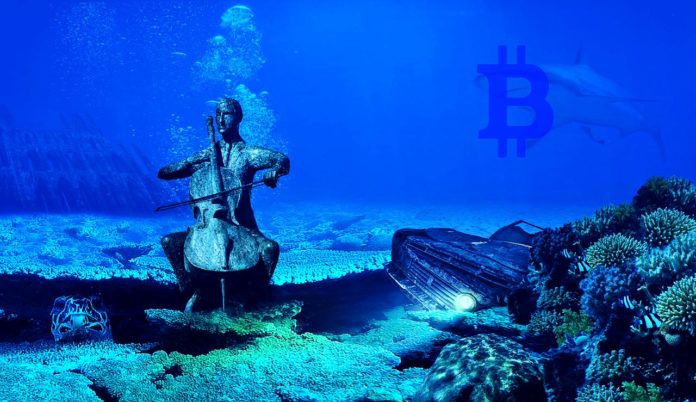 Deciphering the Bitcoin Crash: What Will Happen to Cryptocurrency?