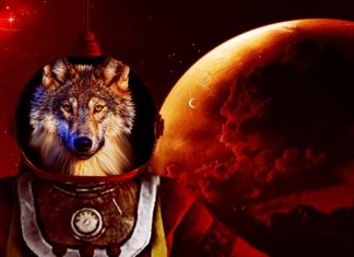 Chernobyl Wolves to Live on Mars with Humans