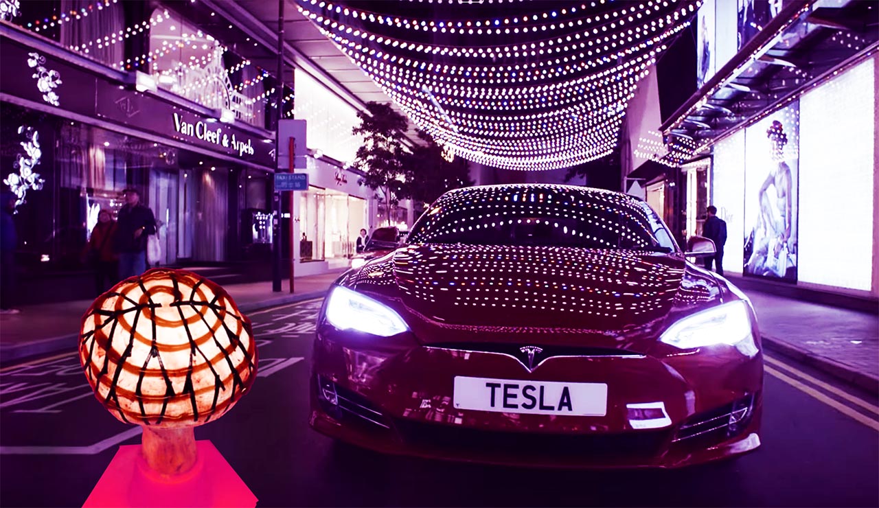 Tesla Mushroom mushrooms Batteries