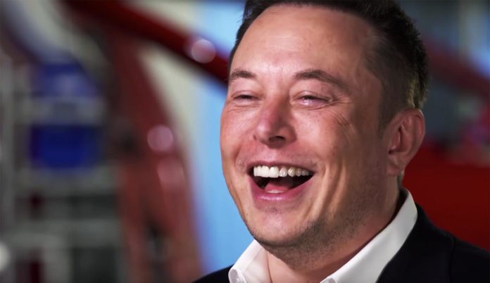 Elon Musk Gave AI Advice to US Congress