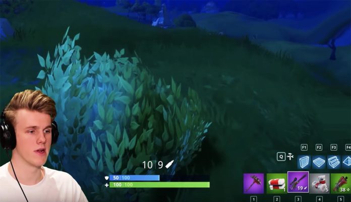 Fortnite's Bush Will Be Trimmed; PlayStation Fans Are Happy?