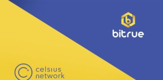 Crypto News: Bitrue to Compete with Celsius Network?